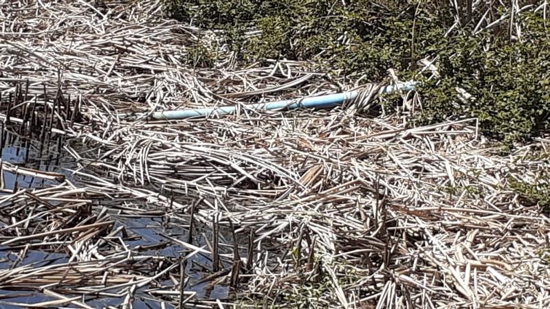 0 Bedroom Property for Sale in Albertinia Western Cape